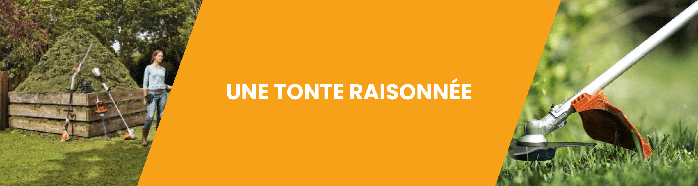 Une tonte raisonée