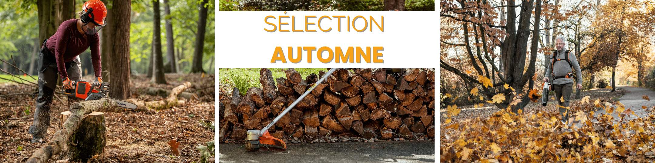 Bandeau Sélection Automne 2025