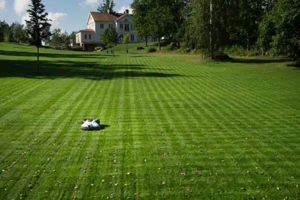 Robot tondeuse Husqvarna Automower 430VE NERA