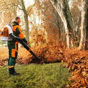 Souffleurs thermiques Stihl